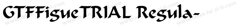 GTFFigueTRIAL Regula字体转换